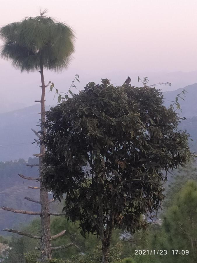 Mangalmurti Himalyan Homestay Hawalbagh Buitenkant foto